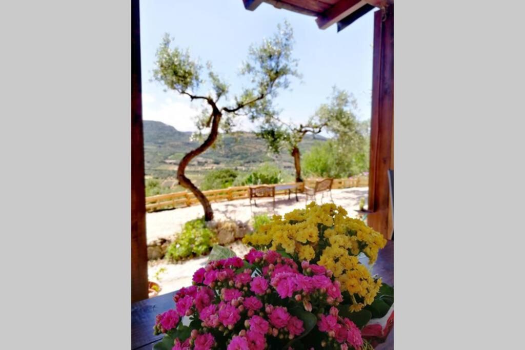 Tiria House Bosa - Casa Vacanze Luaran gambar